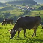 Bauernhof Berghof Vöglerbrand *