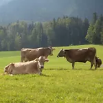 Berghof Voeglerbrand Фермерский дом Андельсбух