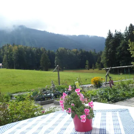 Berghof Voeglerbrand בית חווה *