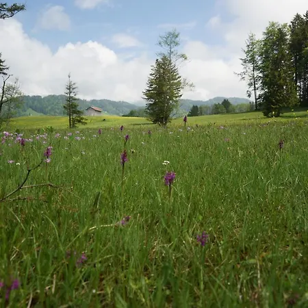 Berghof Voeglerbrand Farm stay *