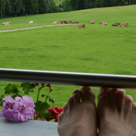 Berghof Voeglerbrand Farm stay *
