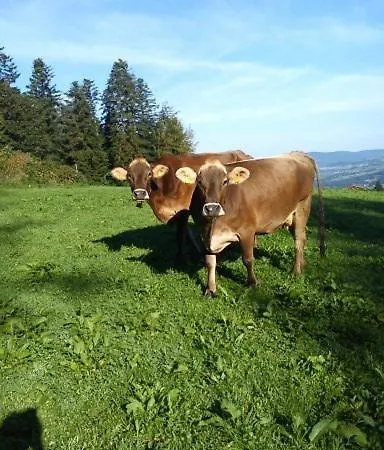 Berghof Voeglerbrand * אנדלסבוך