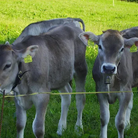 Farm stay Berghof Voeglerbrand