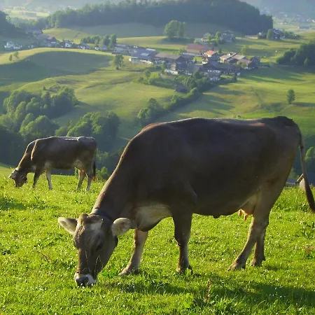 Farm stay Berghof Voeglerbrand *